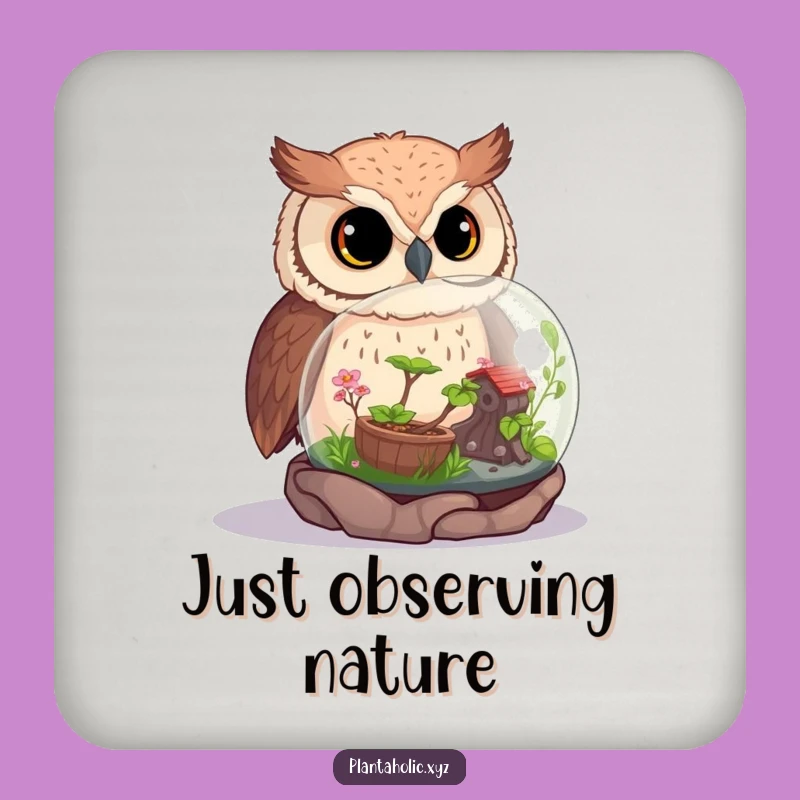 Funny Curious Owl Terrarium Coaster Set - Protect Surfaces with Nature's Humor
